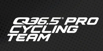 Head Mechanic, Q36.5 Pro Cycling Team