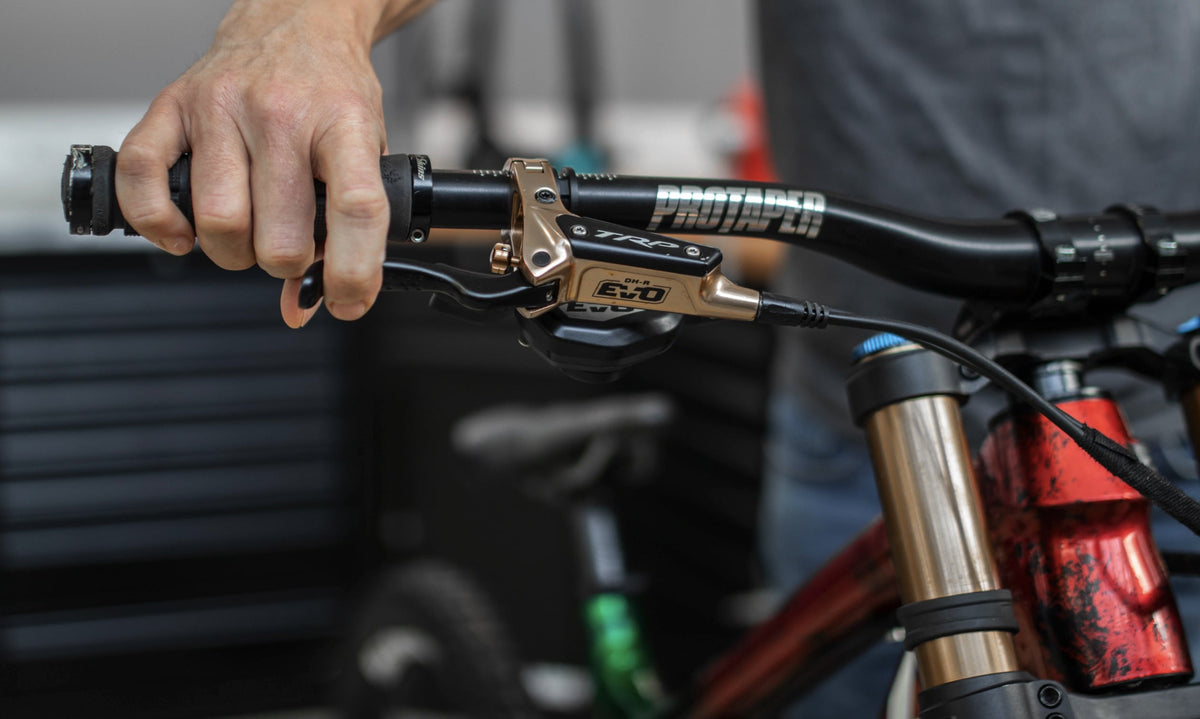 Sinter product display